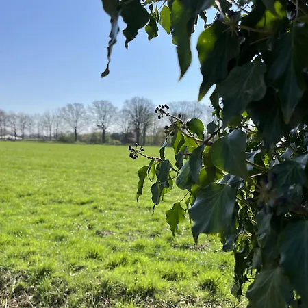 Tinyhouse - De Esdoorn Zes