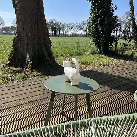Tinyhouse - De Esdoorn Zes Campsite Neede