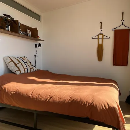 Tinyhouse - De Esdoorn Zes Neede