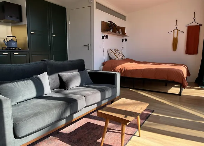 Tinyhouse - De Esdoorn Zes Camping