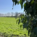 Tinyhouse - De Esdoorn Zes