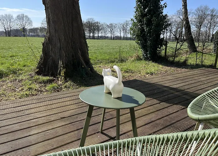 Tinyhouse - De Esdoorn Zes Campingplads Neede